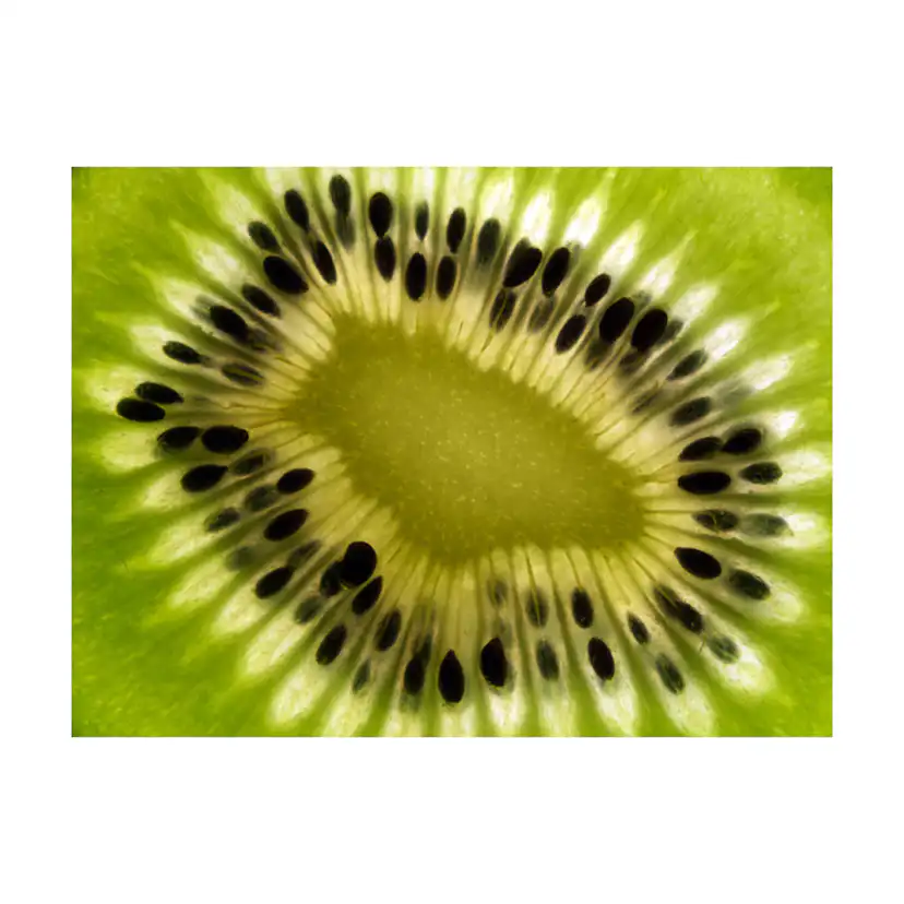 Fototapet Arkiio Frukter: Kiwi
