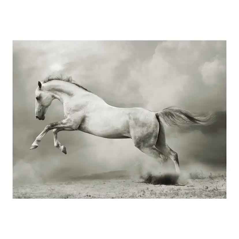 Fototapet Arkiio Wild Hingst