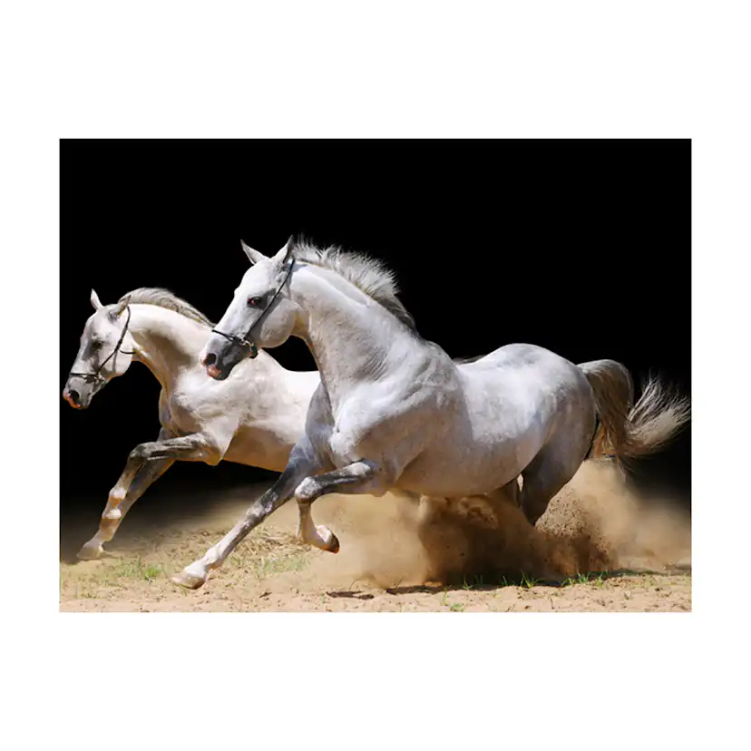 Fototapet Arkiio Galopperande Hästar På Sanden