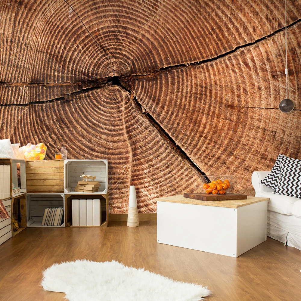 Fototapet Arkiio Trädstam Tvärsnitt