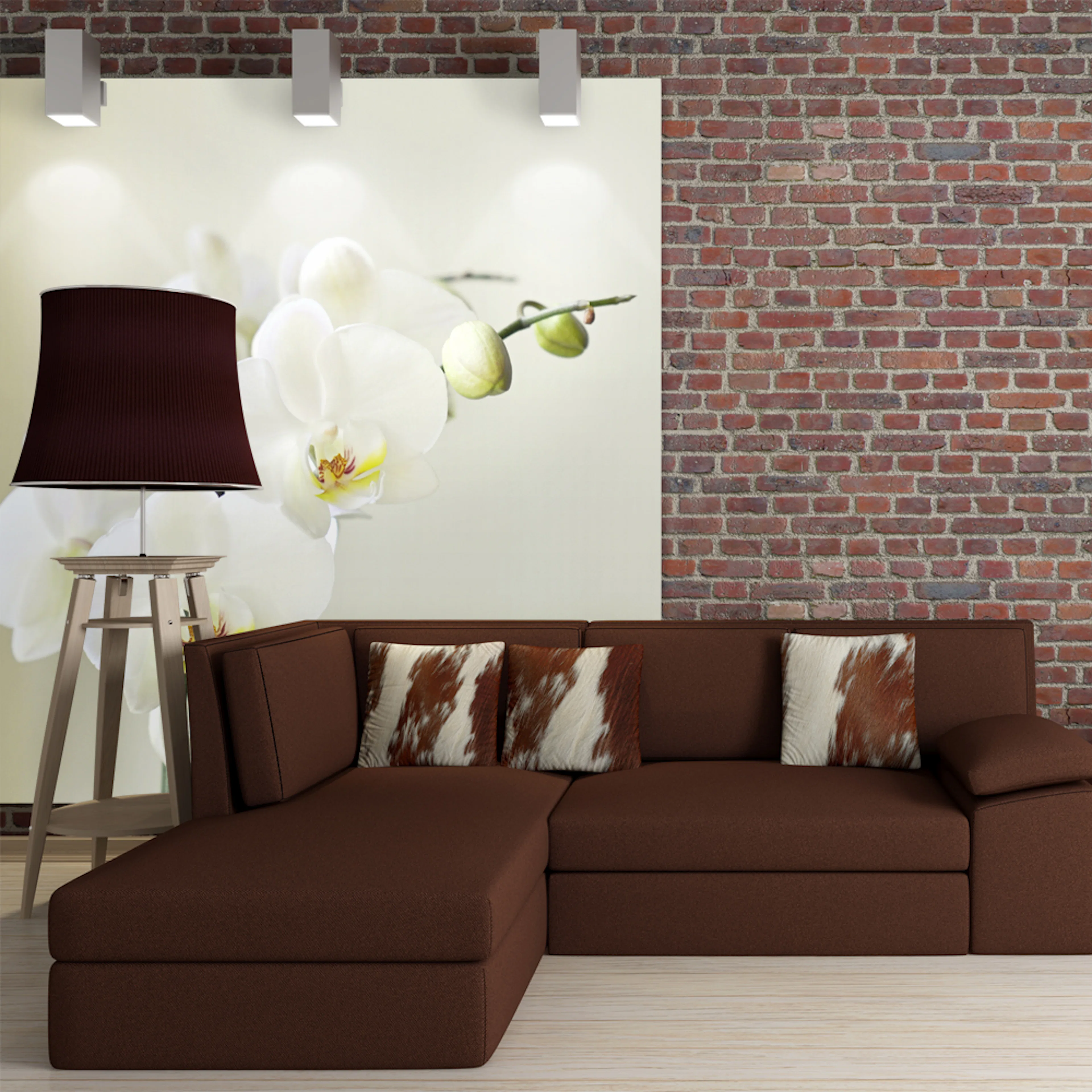 Fototapet Arkiio Orchidwhite