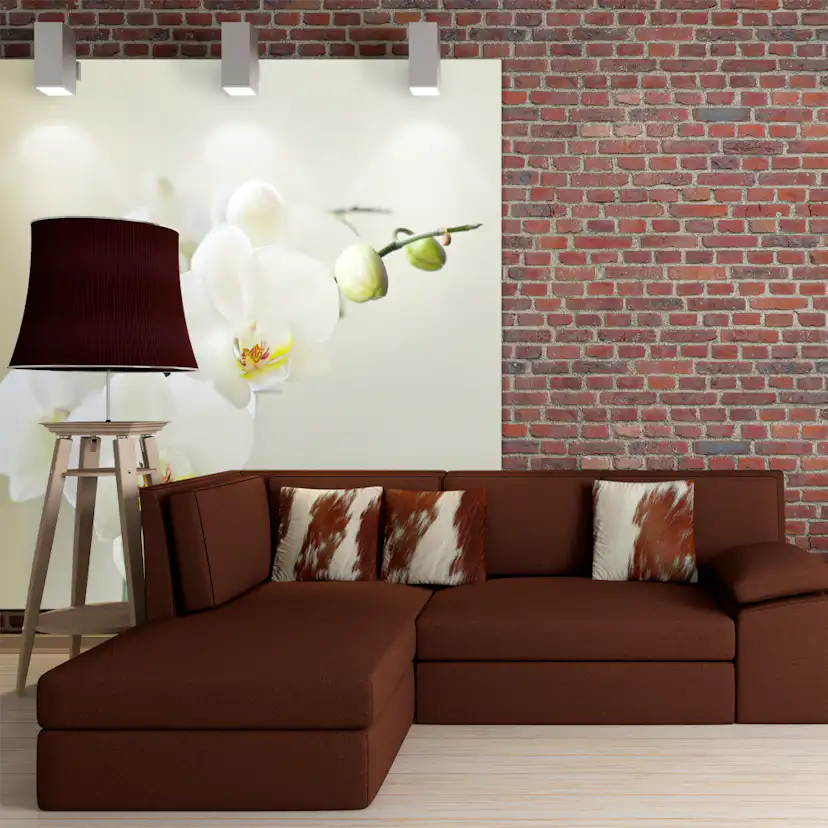 Fototapet Arkiio Orchidwhite