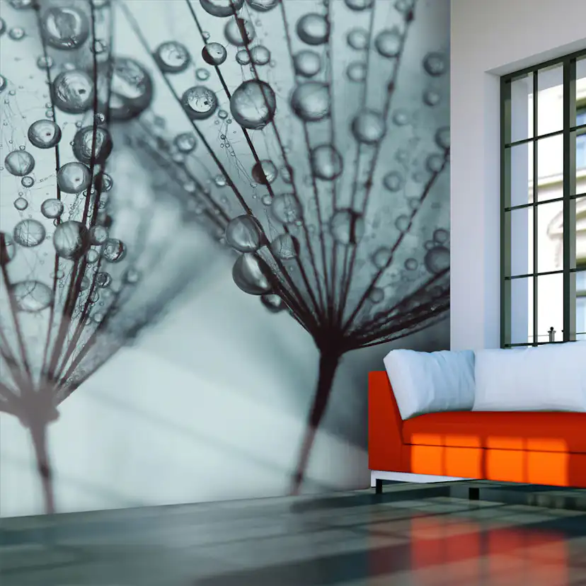 Fototapet Arkiio Turkos Maskros