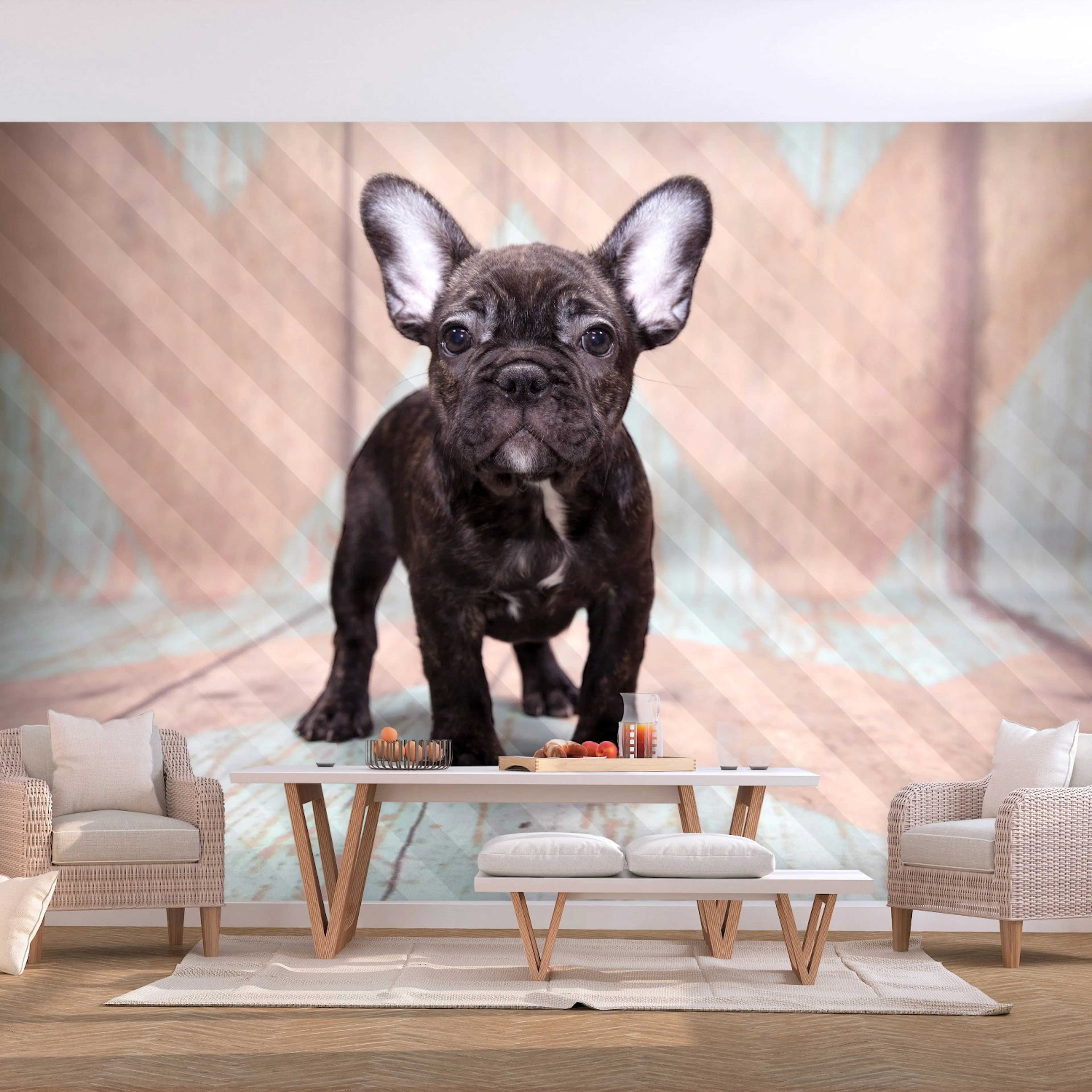 Fototapet Arkiio French Bulldog