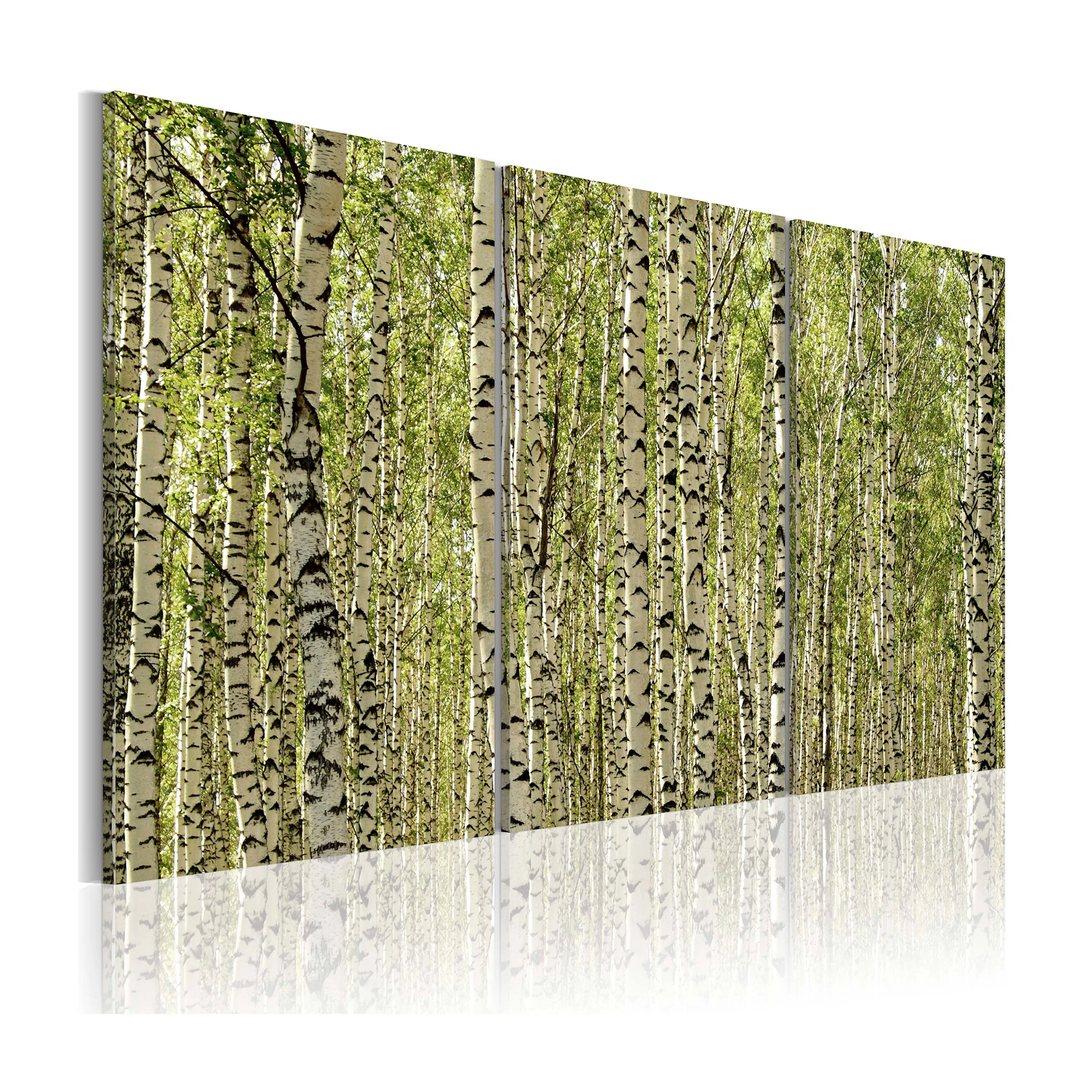Tavla Arkiio A Forest Of Birch Trees
