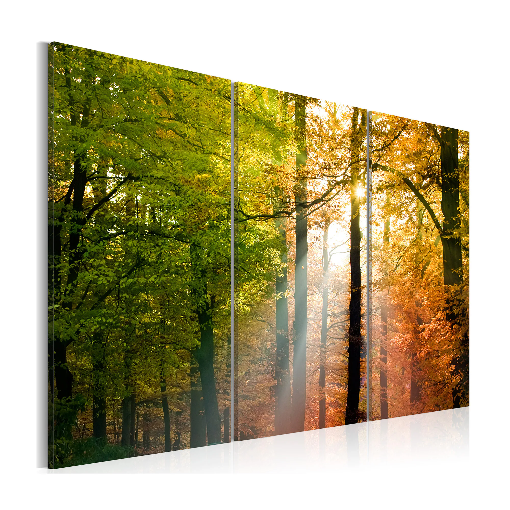 Tavla Arkiio A Calm Autumn Forest