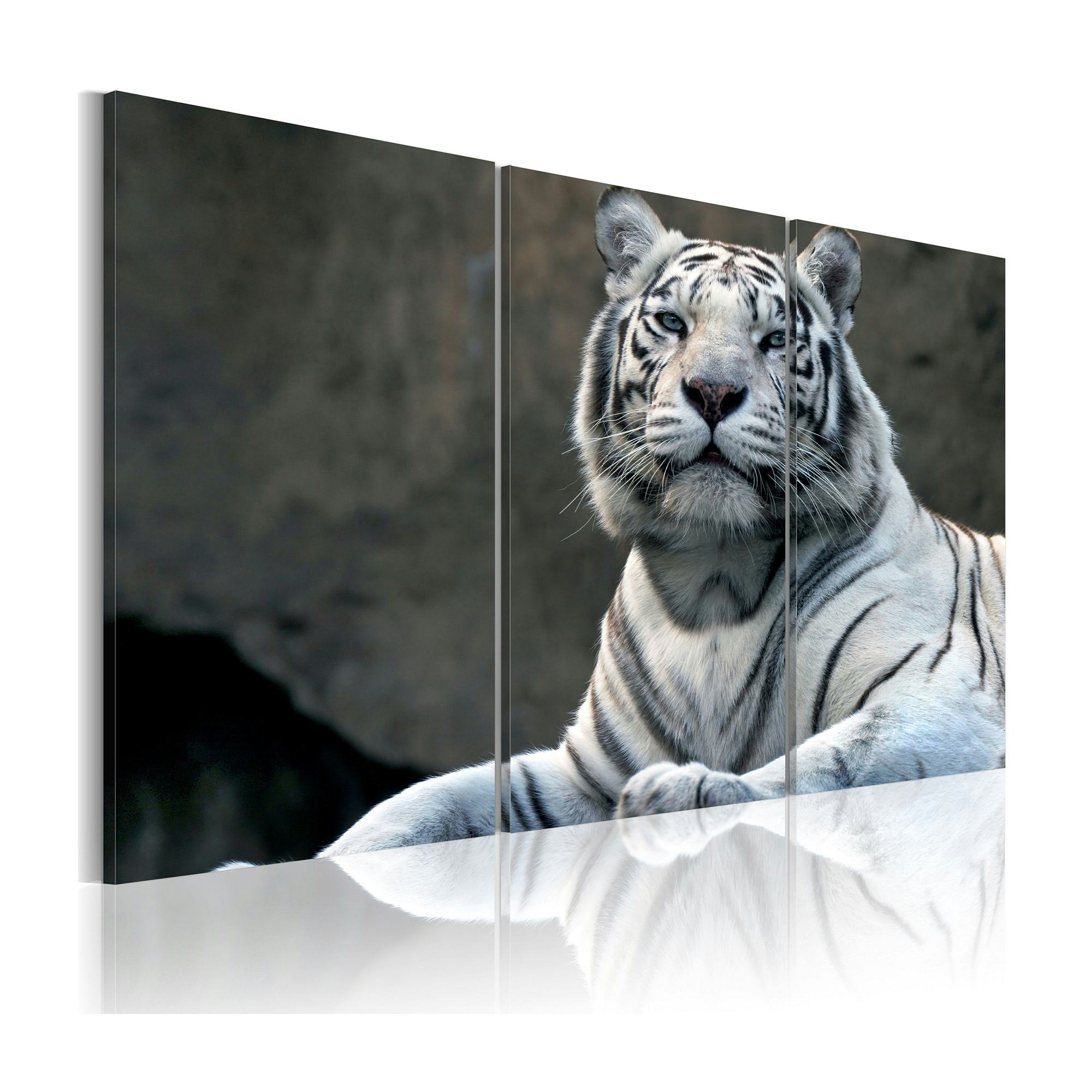 Tavla Arkiio White Tiger