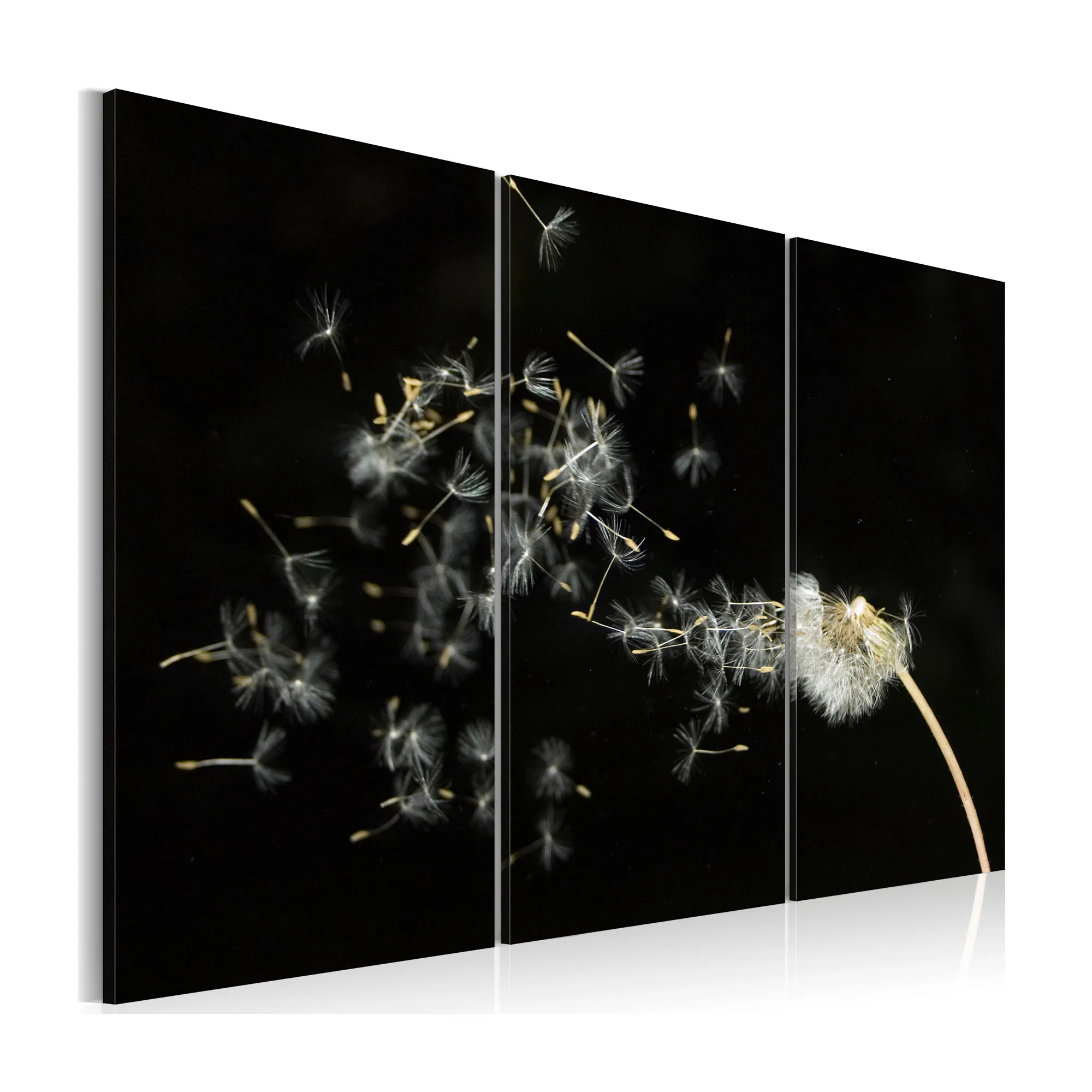 Tavla Arkiio Dandelions The Transience