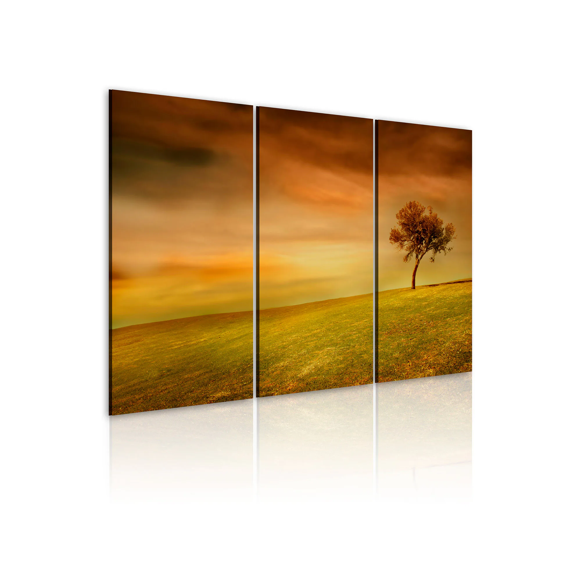 Tavla Arkiio A Lonely Tree On A Meadow