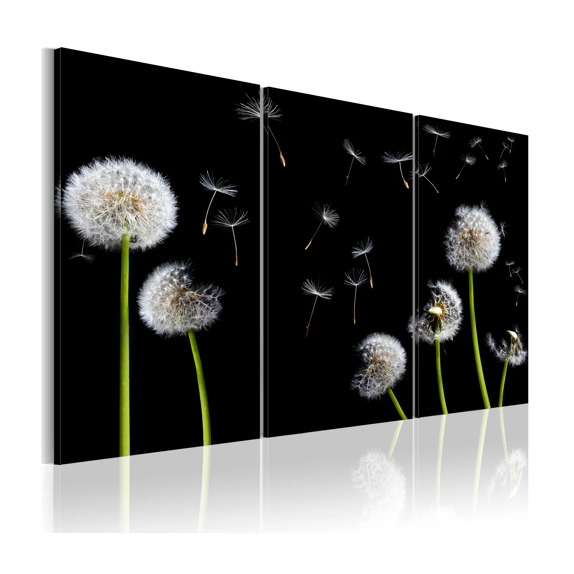 Tavla Arkiio Dandelions Family