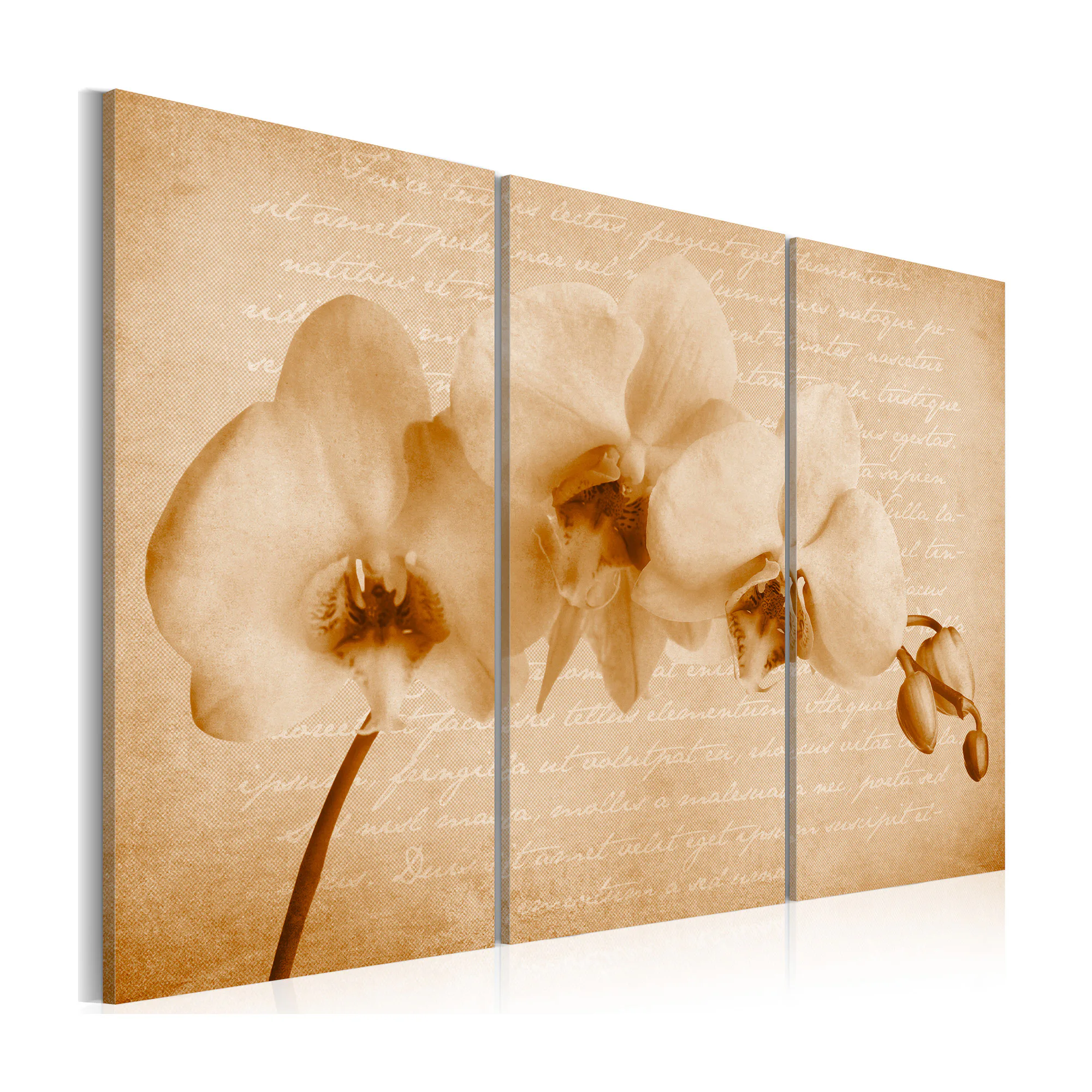 Tavla Arkiio Orkidé Vintage