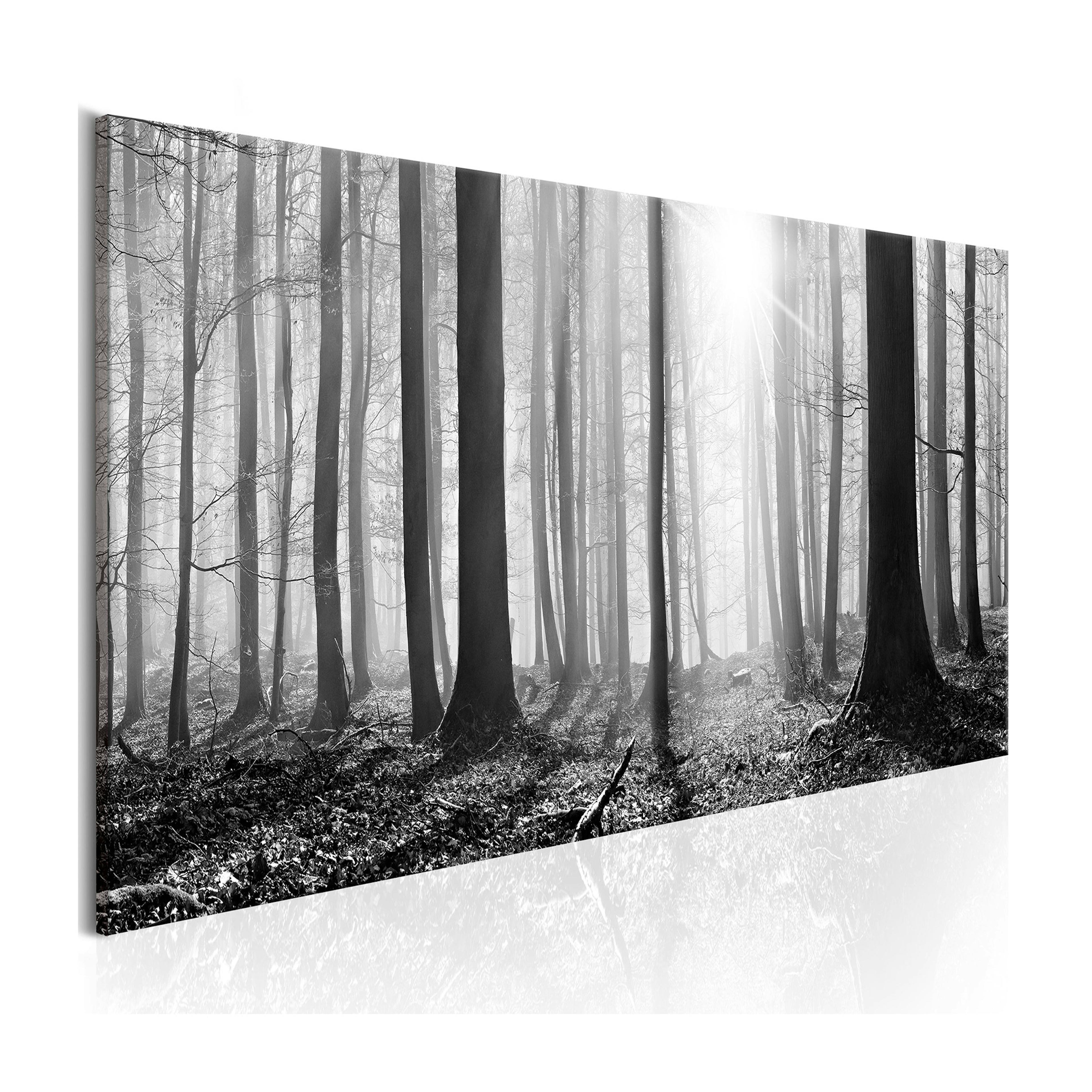 Tavla Arkiio Black and White Forest