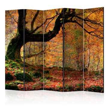 Rumsavdelare Arkiio Autumn Forest And Leaves II 225x172 cm