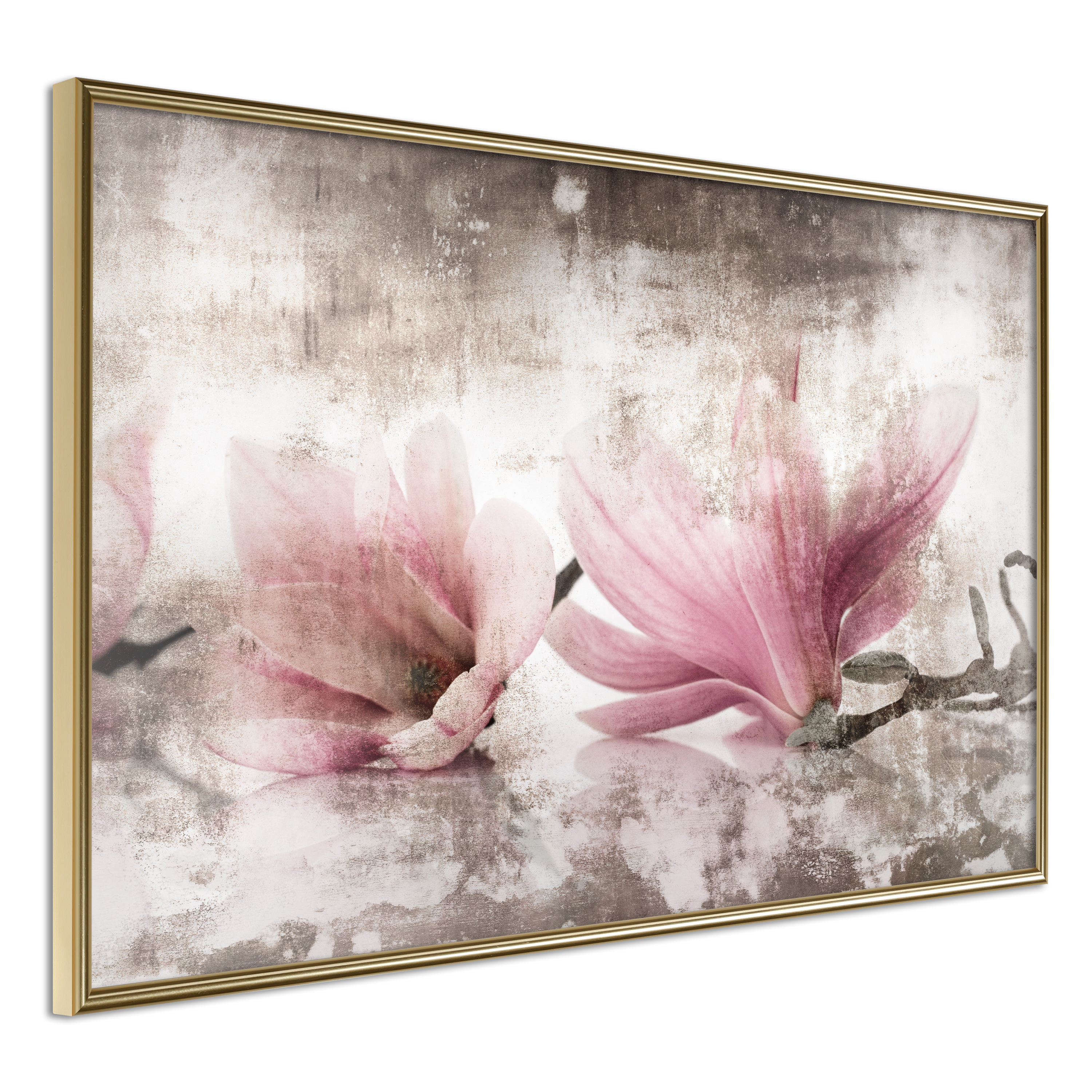 Poster Artgeist Affisch Magnolia Memory