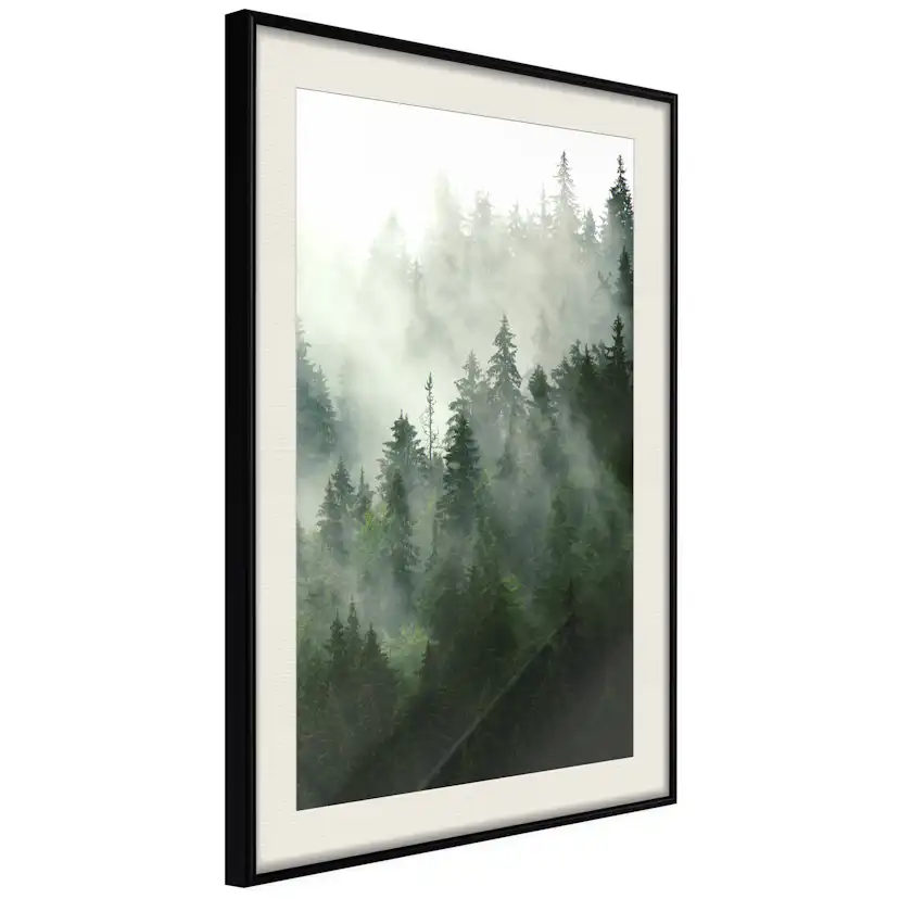 Poster Artgeist Affisch Coniferous Forest