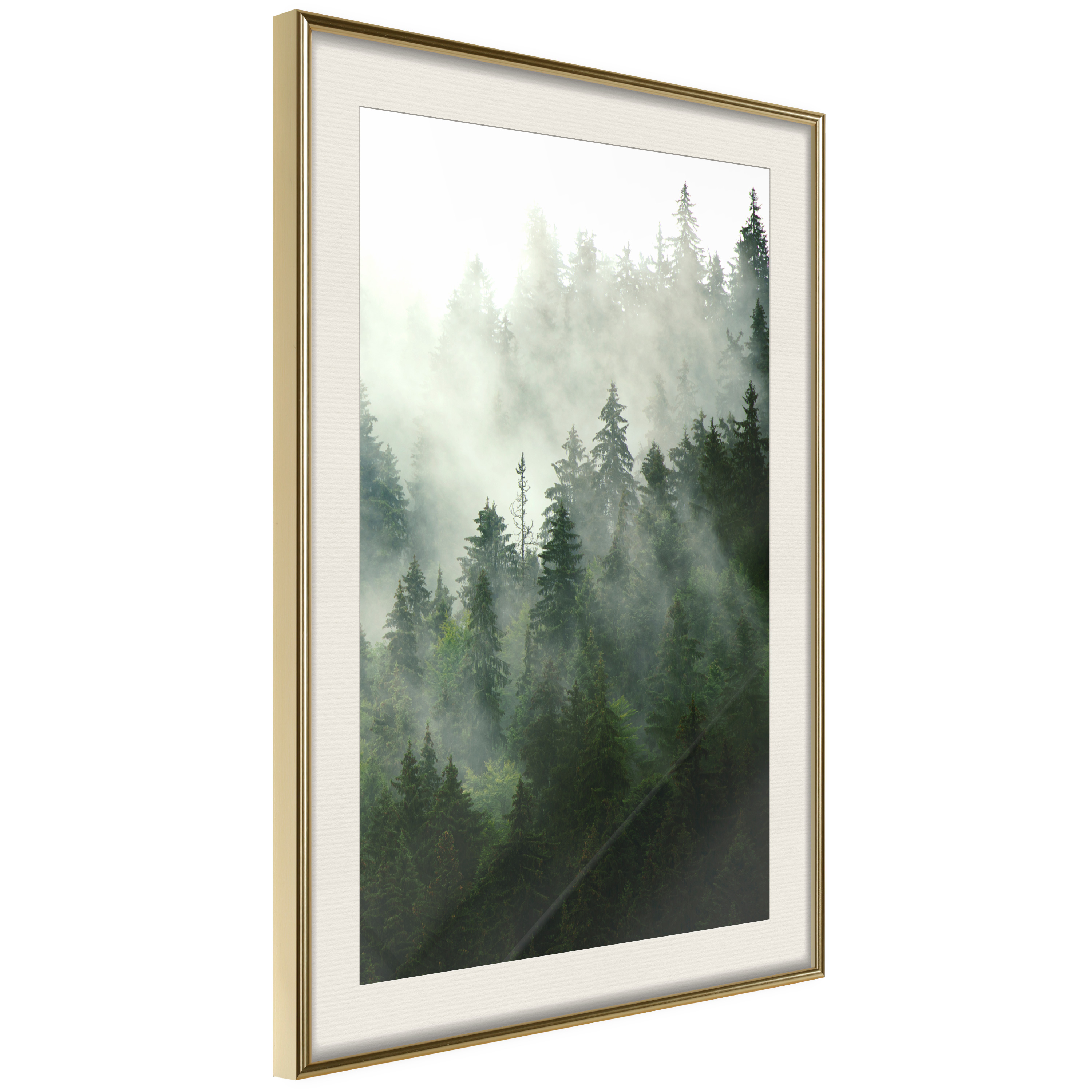 Poster Artgeist Affisch Coniferous Forest