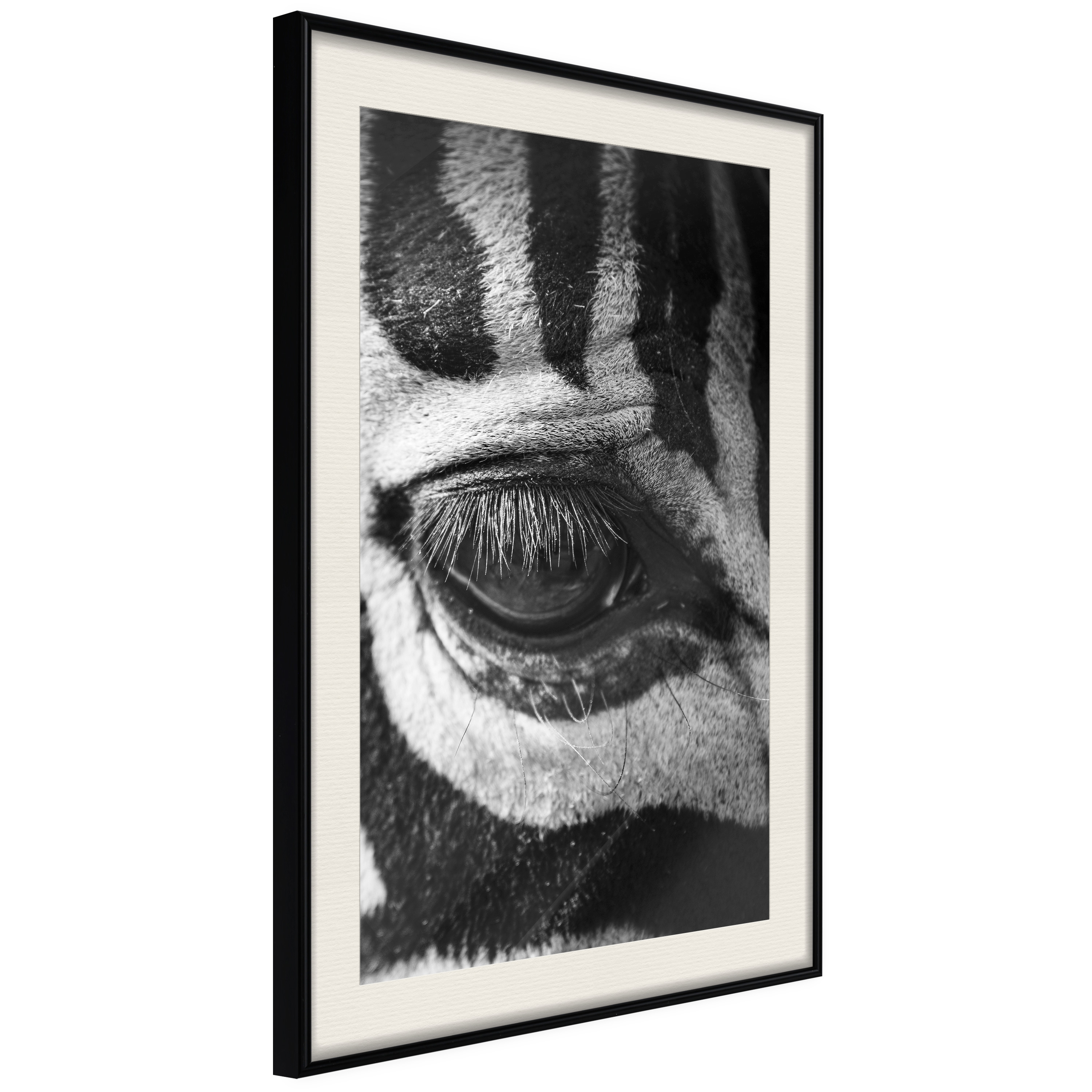 Poster Artgeist Affisch Zebra Eye