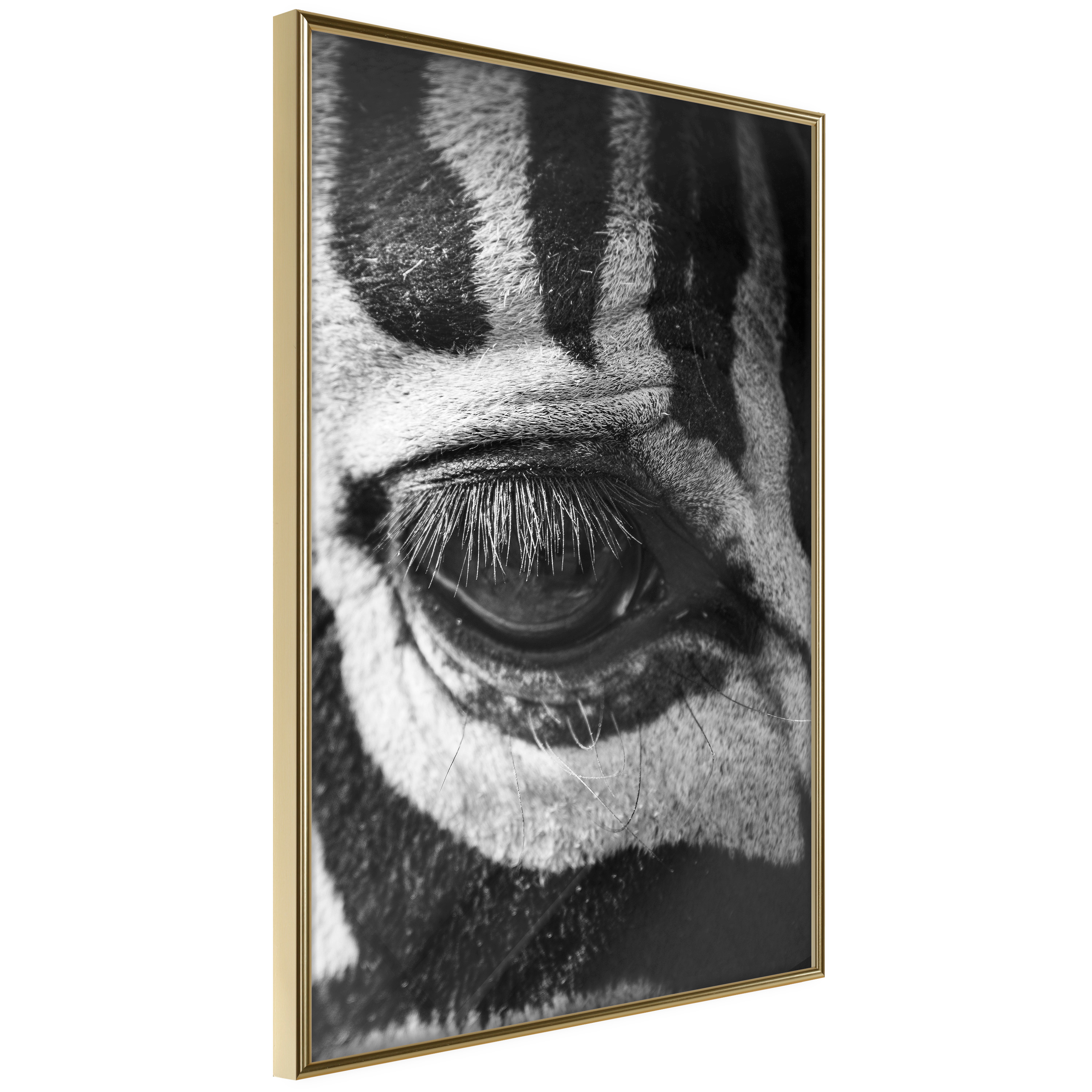 Poster Artgeist Affisch Zebra Eye