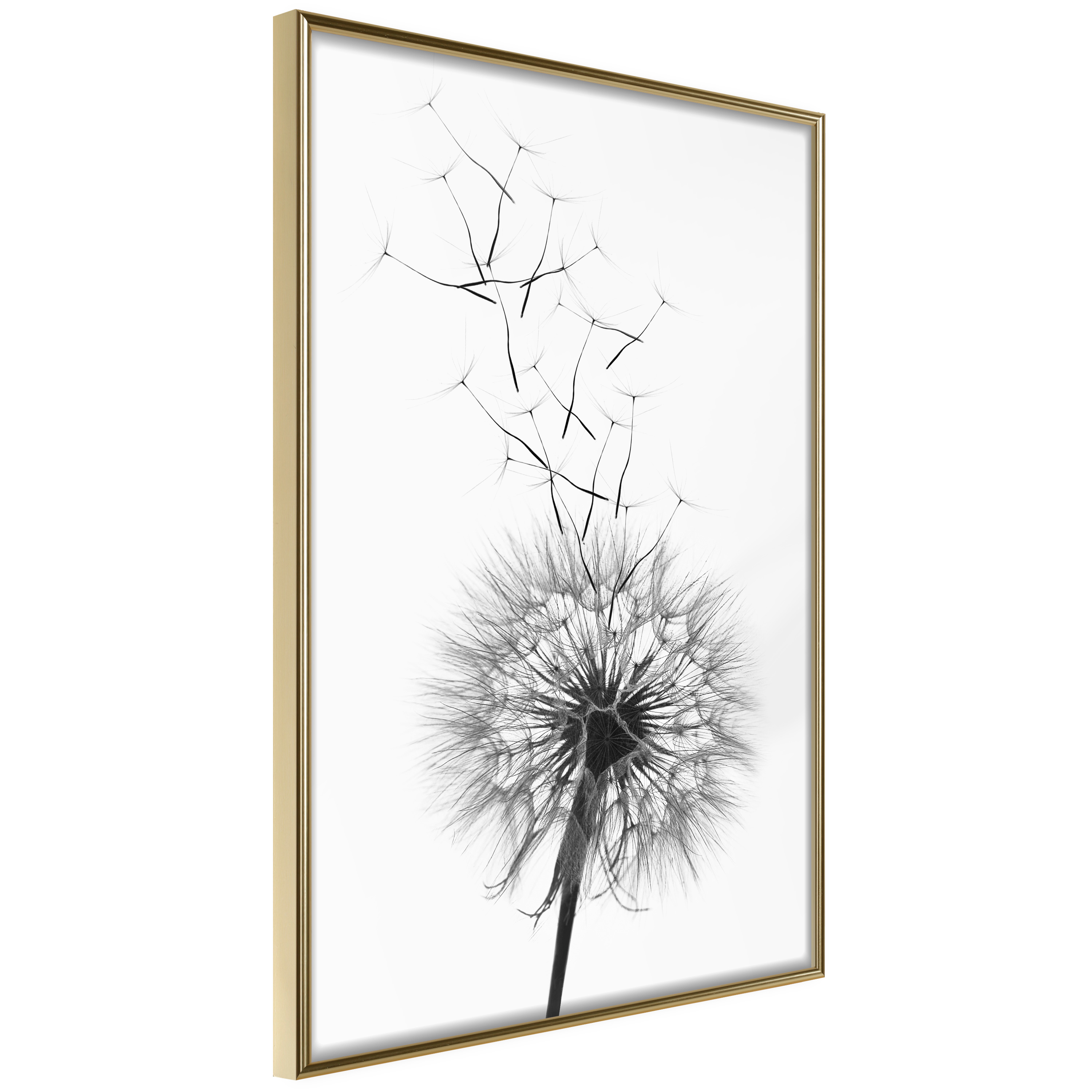 Poster Artgeist Affisch Dandelion