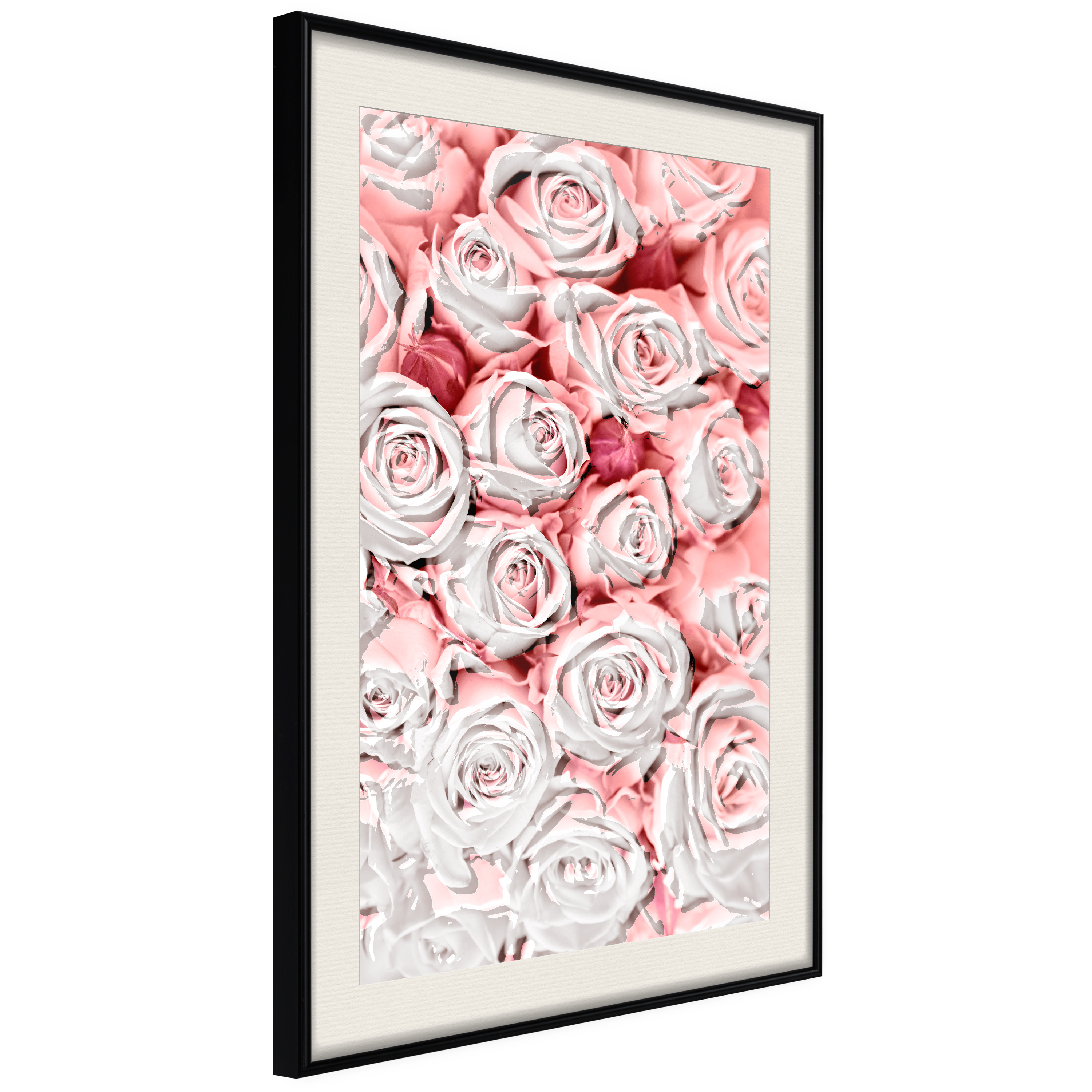 Poster Artgeist Affisch White Roses