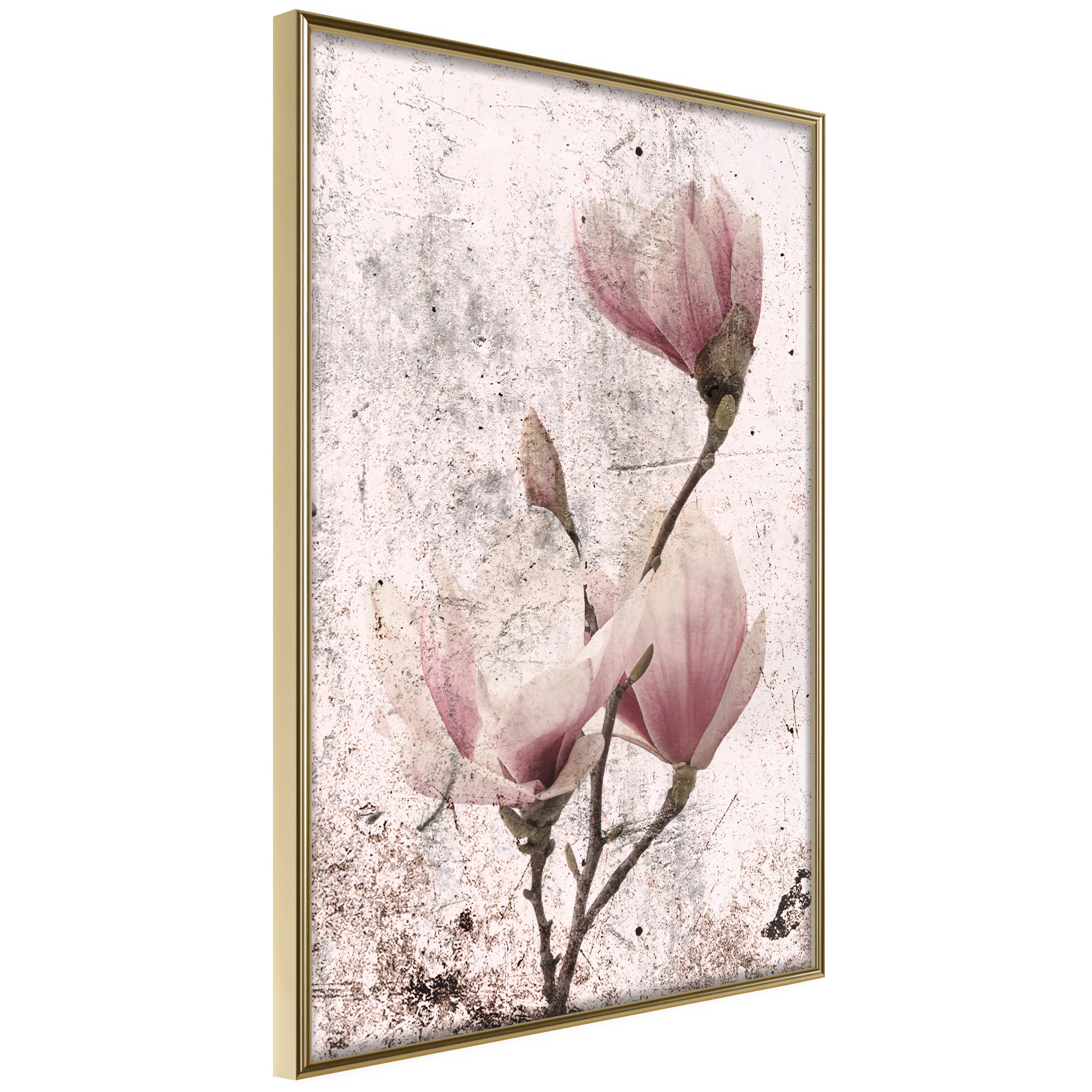 Poster Artgeist Affisch Mature Magnolia