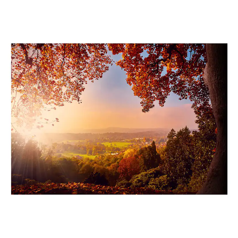 Fototapet Arkiio Autumn Delight