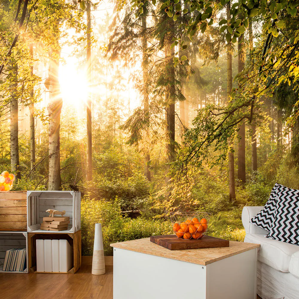 Fototapet Arkiio Självhäftande Mystic Of The Morning