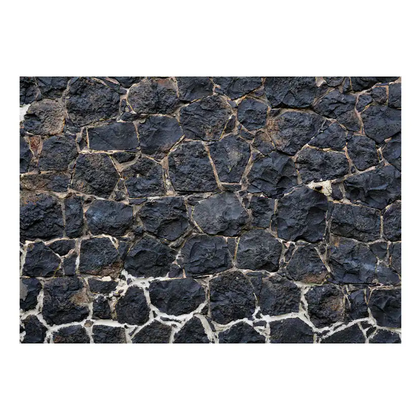 Fototapet Arkiio Dark Charm