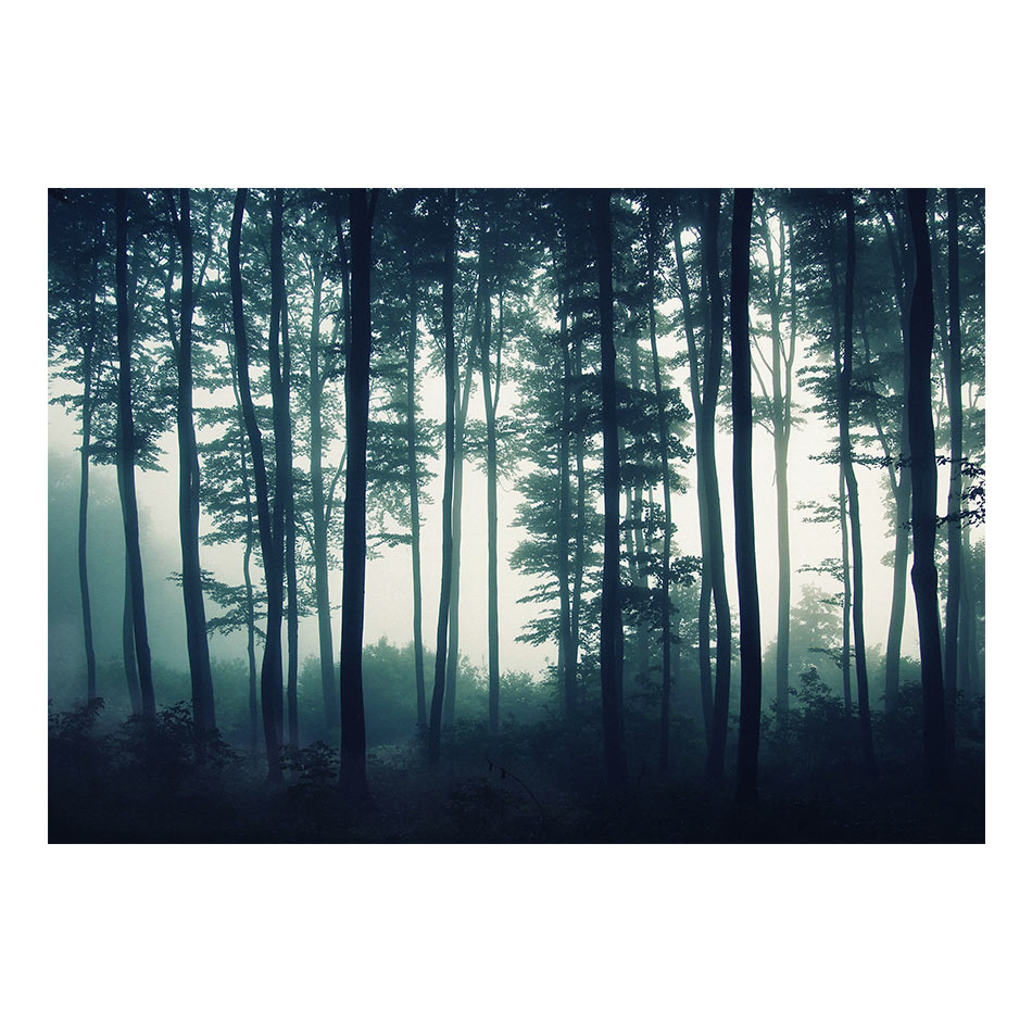 Fototapet Arkiio Dark Forest