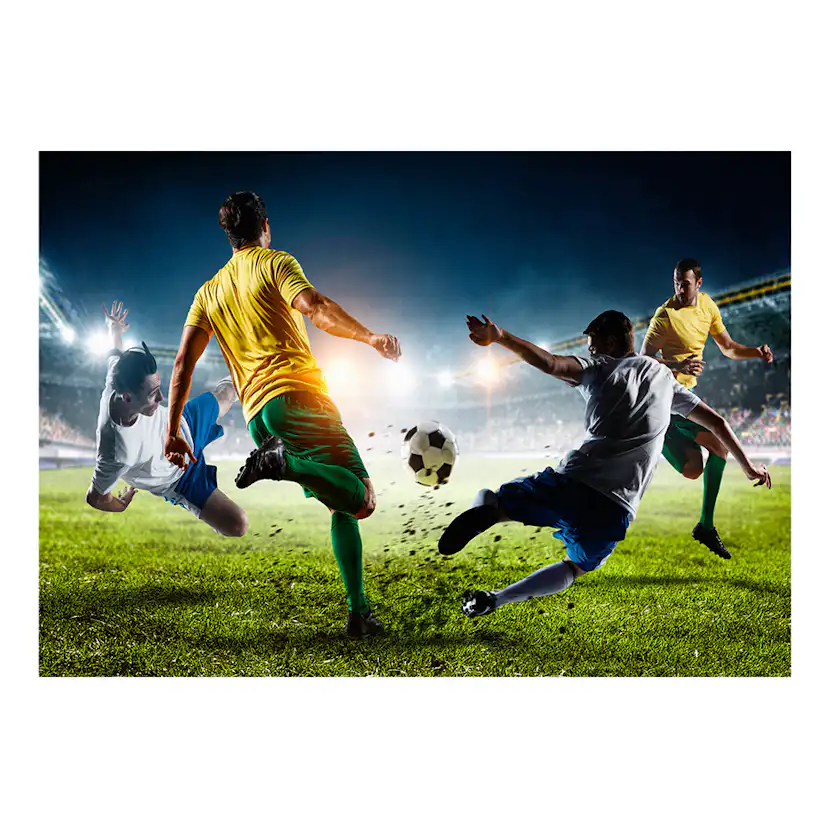 Fototapet Arkiio Decisive Tackle