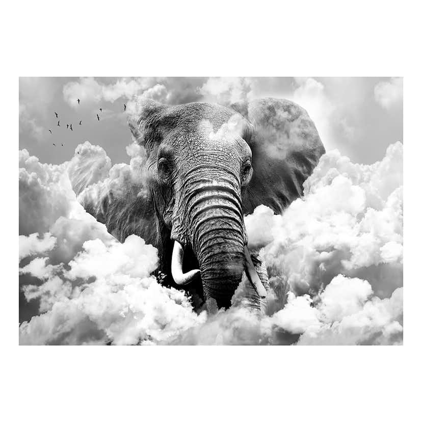 Fototapet Arkiio Elephant In The Clouds Black And White