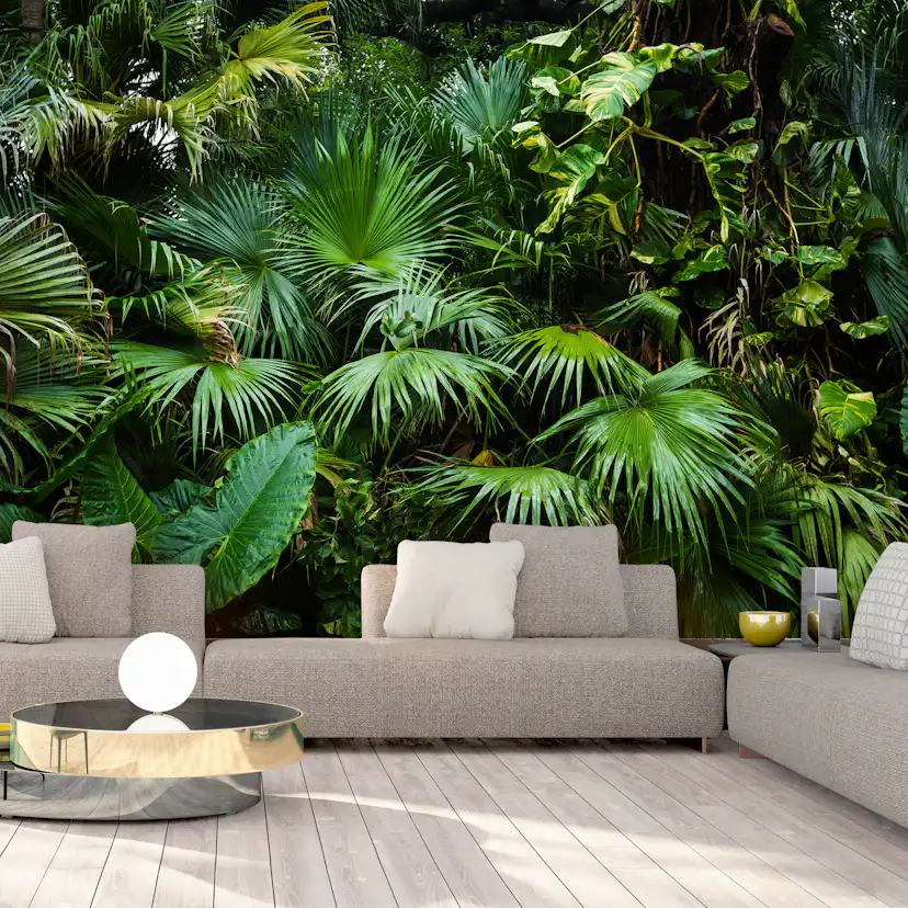 Fototapet Arkiio Sunny Jungle