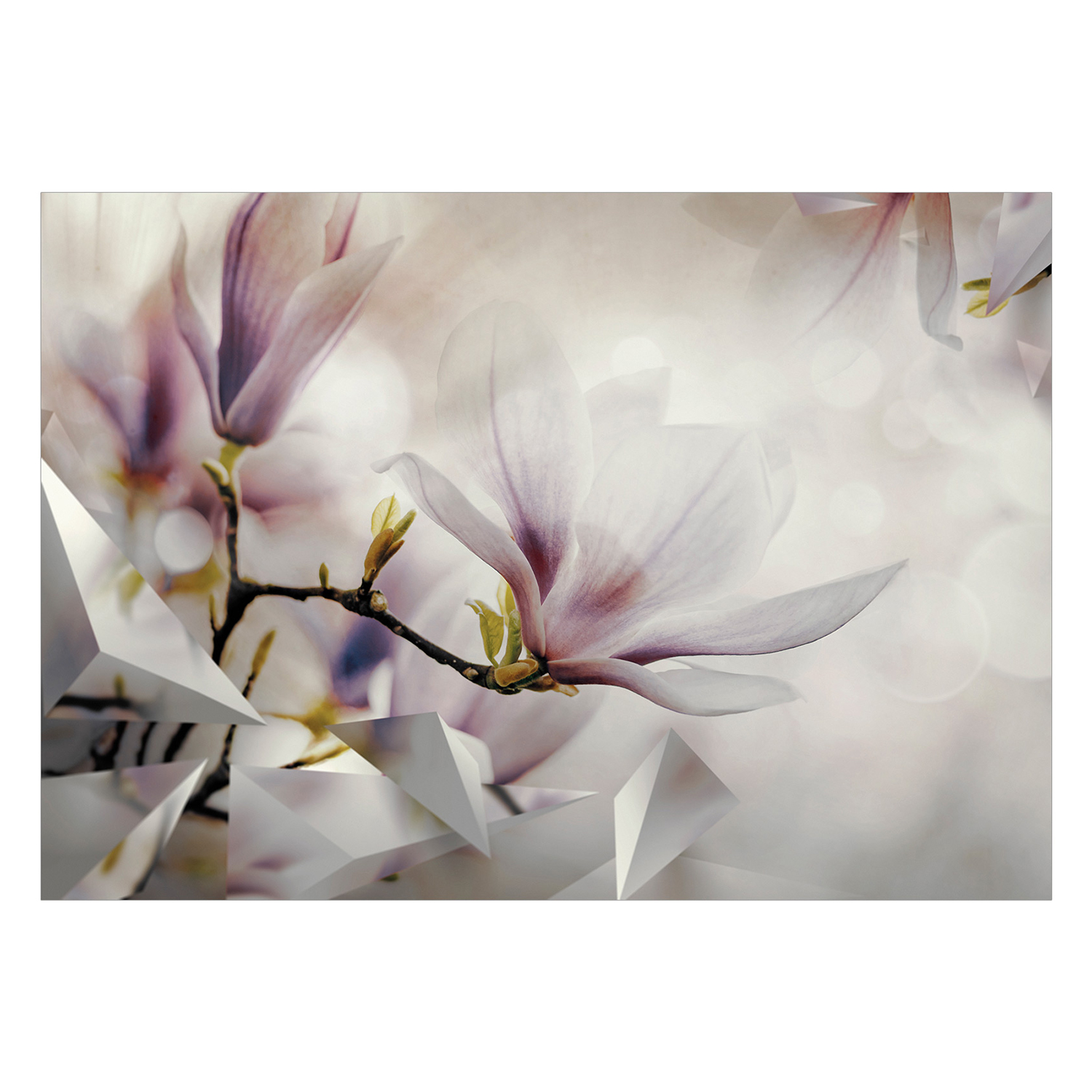 Fototapet Arkiio Subtle Magnolias Arkiio First Variant