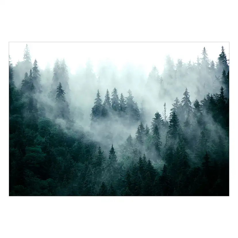 Fototapet Arkiio Mountain Forest (dark Green)