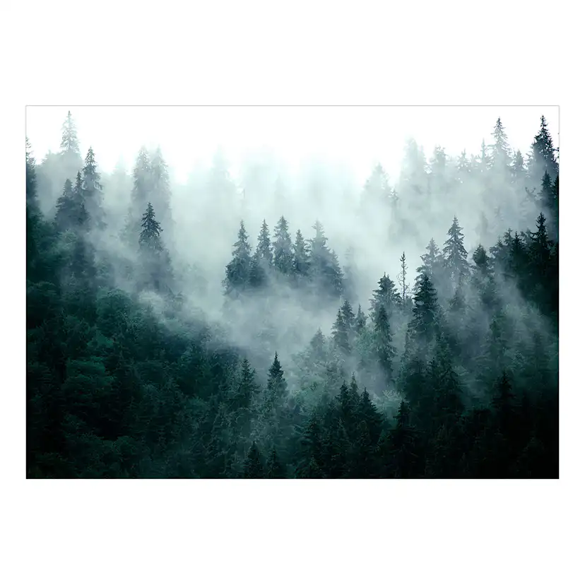Fototapet Arkiio Mountain Forest (Dark Green)