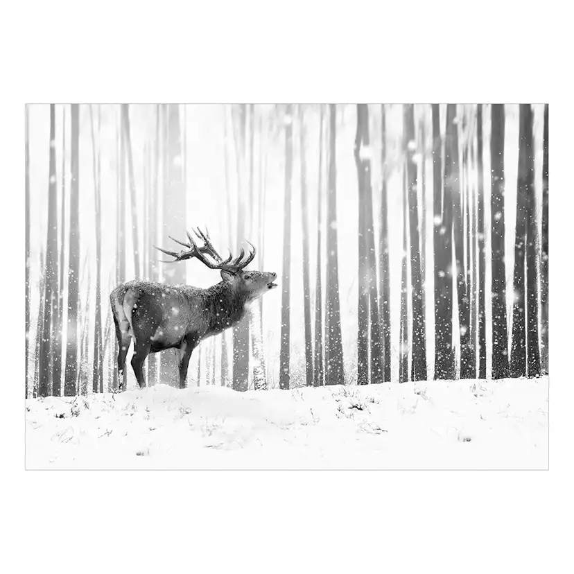 Fototapet Arkiio Deer in the Snow (Black and White)
