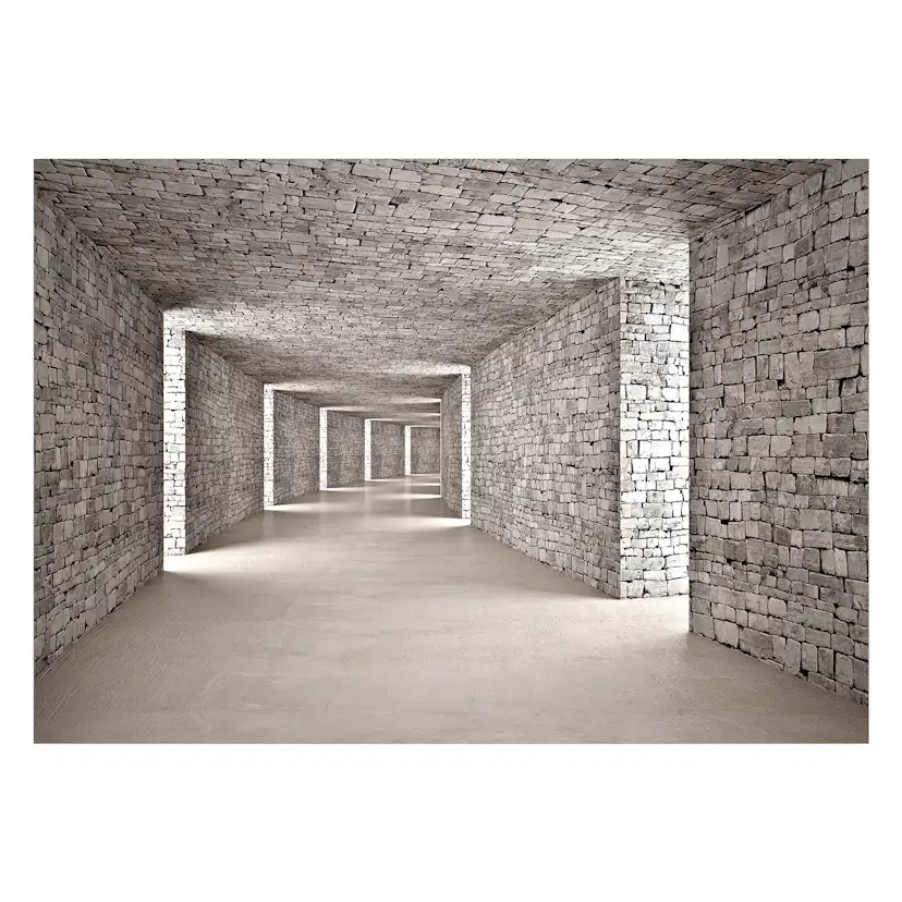 Fototapet Arkiio Mysterious Tunnel