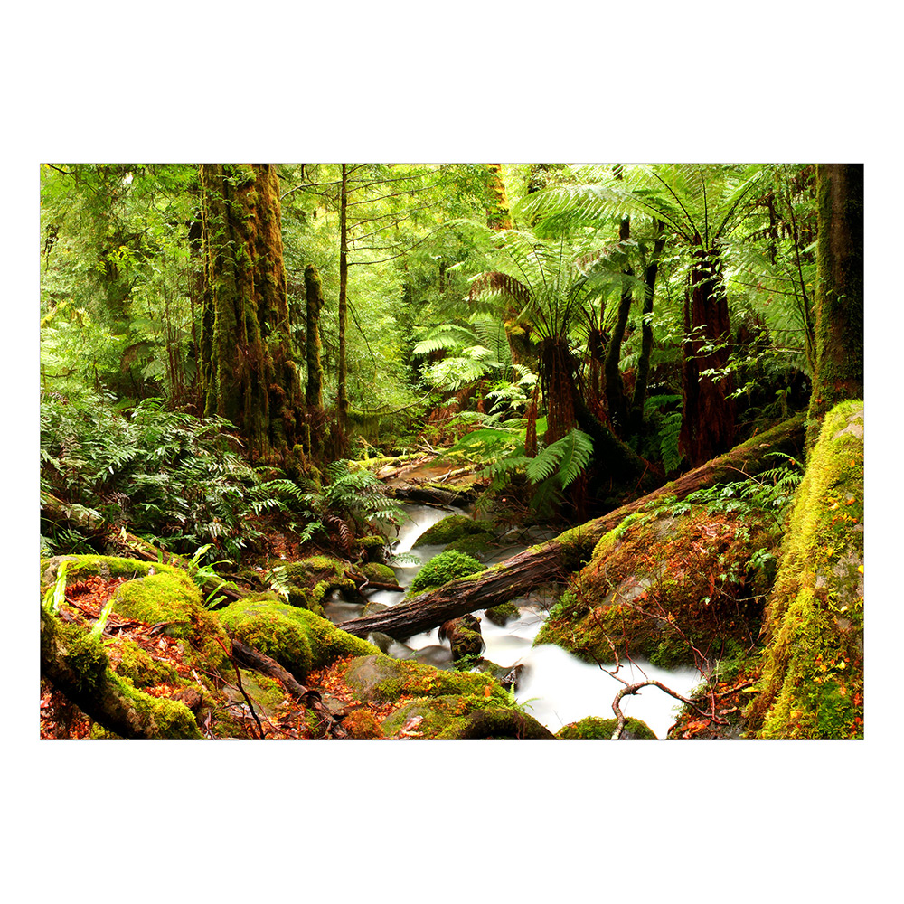 Fototapet Arkiio Forest Brook Självhäftande