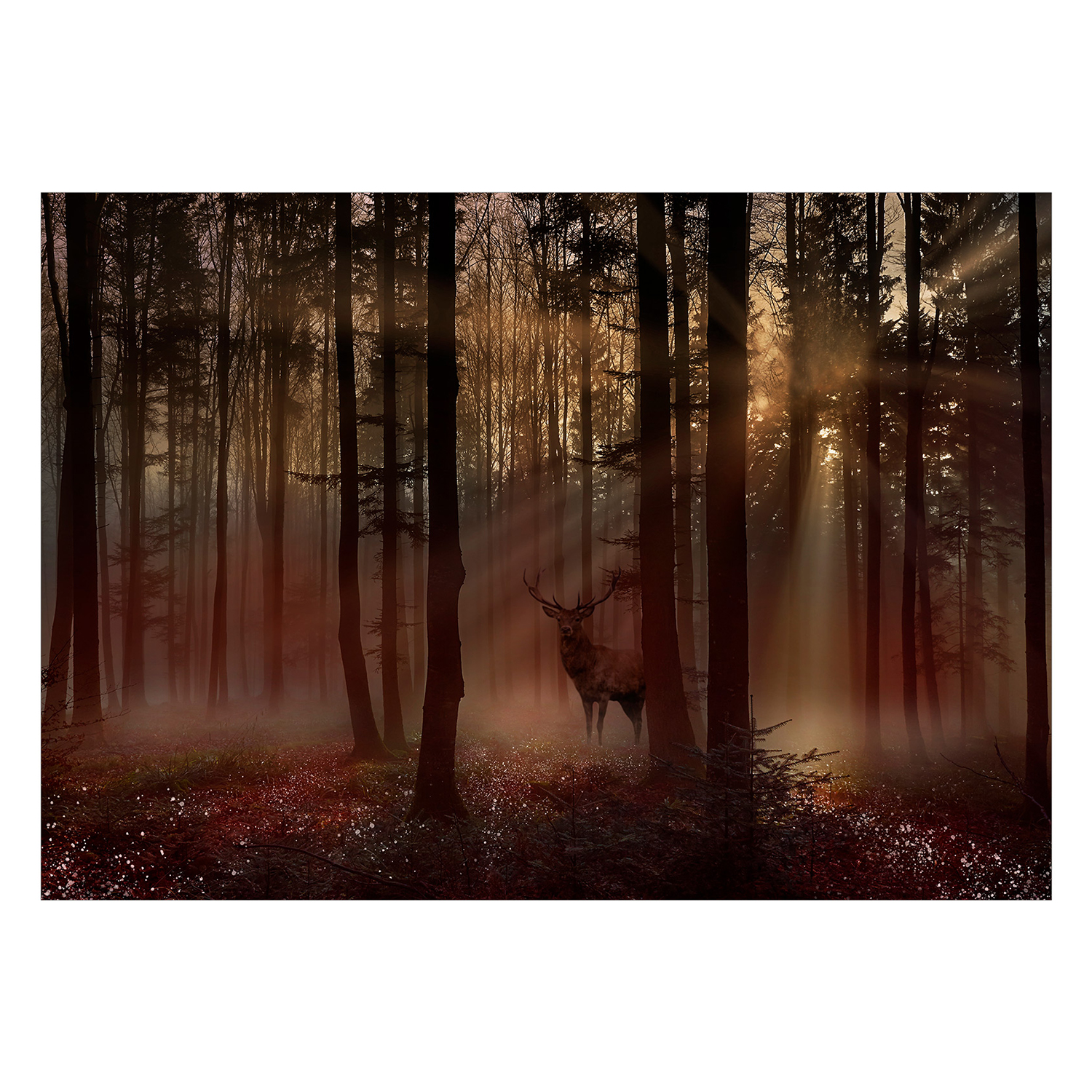 Fototapet Arkiio Mystical Forest Arkiio First Variant