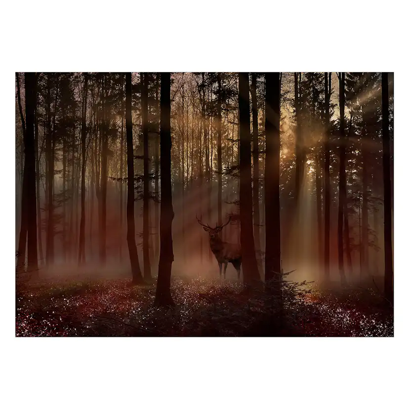 Fototapet Arkiio Mystical Forest Arkiio First Variant