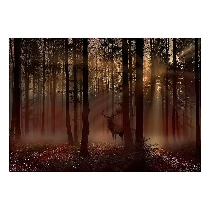 Fototapet Arkiio Mystical Forest - First Variant