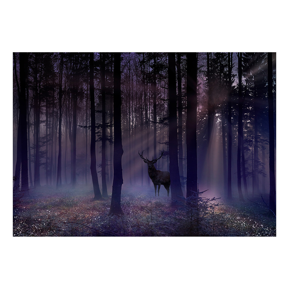 Fototapet Arkiio Mystical Forest - Second Variant