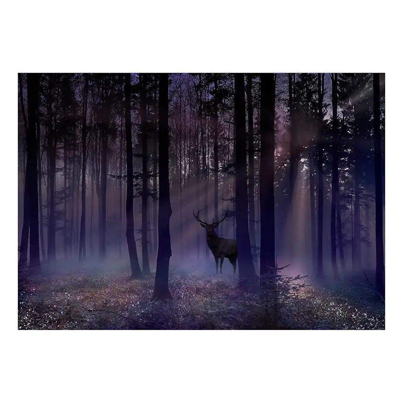 Fototapet Arkiio Mystical Forest - Second Variant