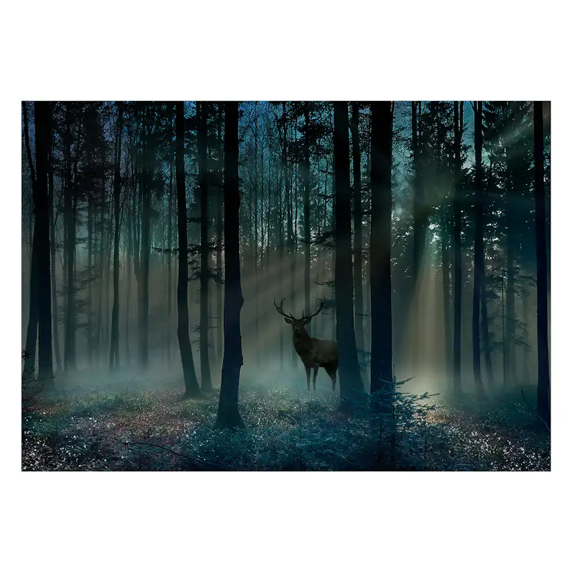 Fototapet Arkiio Mystical Forest Arkiio Third Variant
