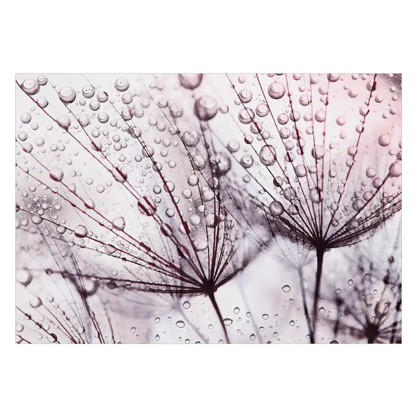 Fototapet Arkiio Rainy Time