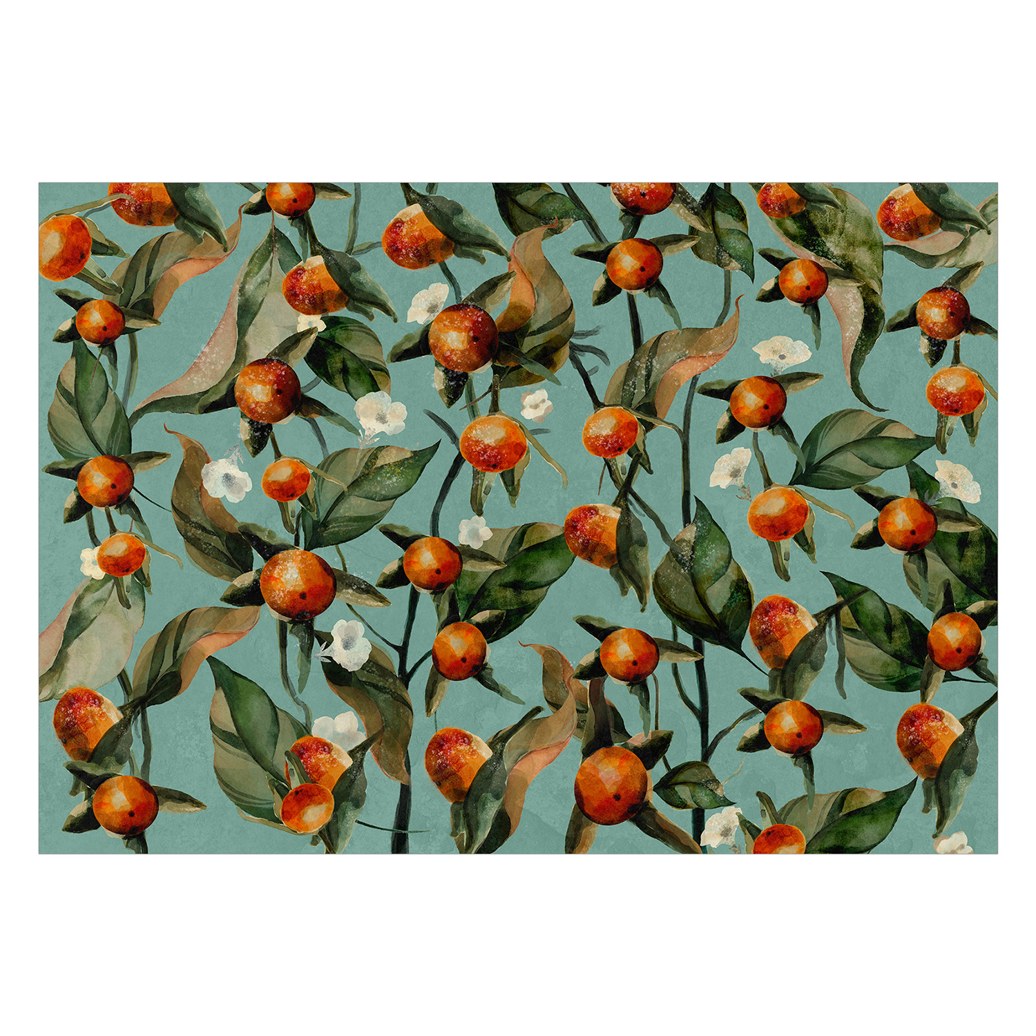 Fototapet Arkiio Orange Grove