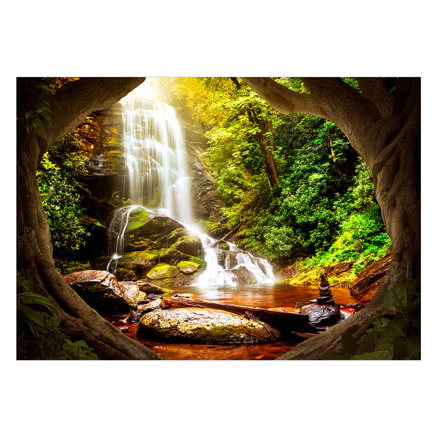 Fototapet Arkiio Forest Refuse