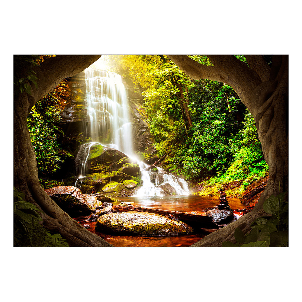 Fototapet Arkiio Forest Refuse Självhäftande