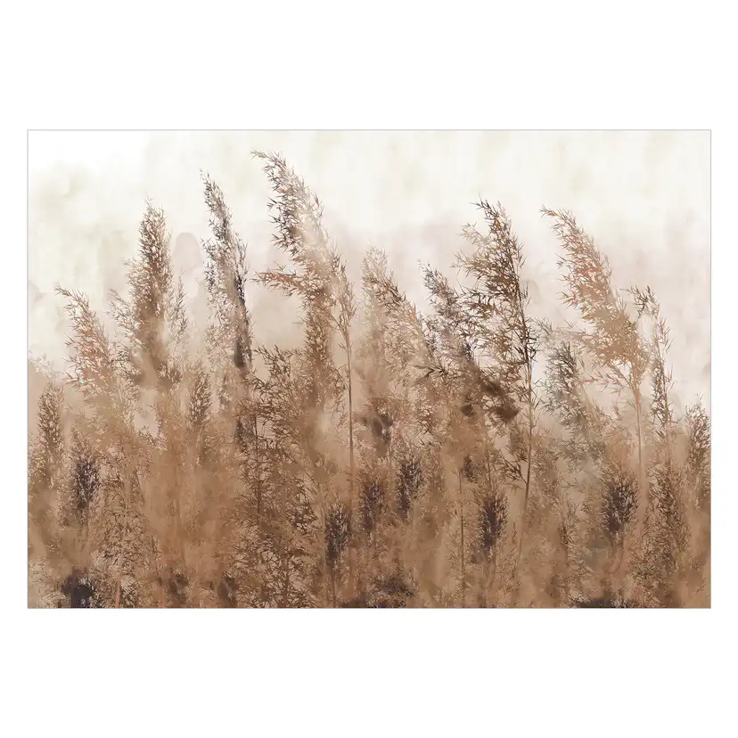 Fototapet Arkiio Tall Grasses Arkiio Brown