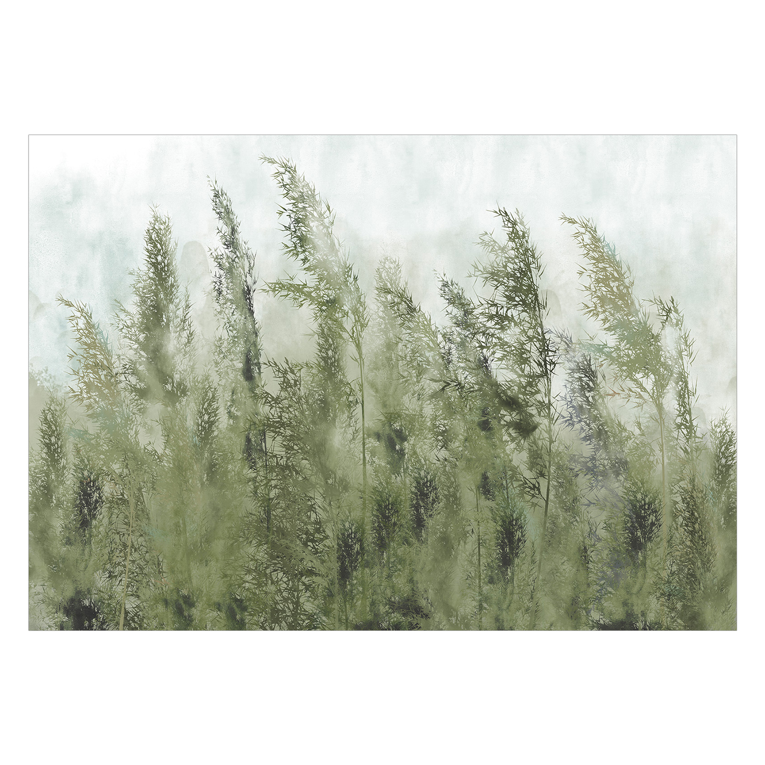 Fototapet Arkiio Tall Grasses Arkiio Green